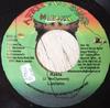 7inch Record LUCIANO - Rasta ABM006 Afrikan Bump Mu Jamaica Reggae, Ska & Dub Used