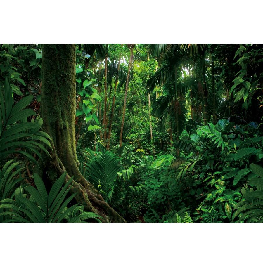 Tropical Green Leaves Backdrop Birthday Baby Shower Green Grass Wall Safari Jungle Wild One Party Wedding Photography Background