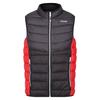 Regatta Mens Harrock II Quilted Gilet