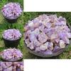 Natural Rough 100g Amethyst Gravel Stone Quartz Crystal Gemstone Home Decor