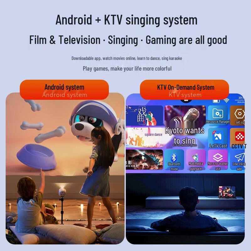 Newmine D21 Home KTV Karaoke & Instrument Speaker System