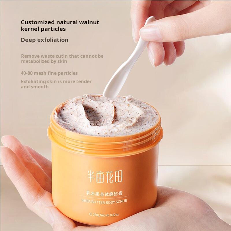 Shea Butter Body Scrub Cream 135g, Pack of 2 Jars, with Body Lotion Tube