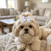 25Pcs Bow Shaped Pet Hair Bows Gradient Color Pet Hair Ties Pet Hair Rubber Bands  Daily Pet Styling