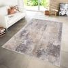 Washable Printed Carpet RVGHOME1116