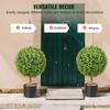 Artificial Topiaries Boxwood Trees, 24 inch Tall (2 Pieces), Ball-Shape Faux Topiaries Plant with Planters, Green Feaux Plant w/ Replaceable Leaves &