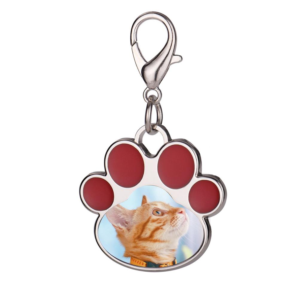 Custom Stainless Steel Anti-loss Personalized Tag Dog Tag Pet Tag