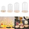 Tabletop Jar Transparent Bottle Terrarium Flower Storage Box Glass Cloche Wooden Base Dust Cover