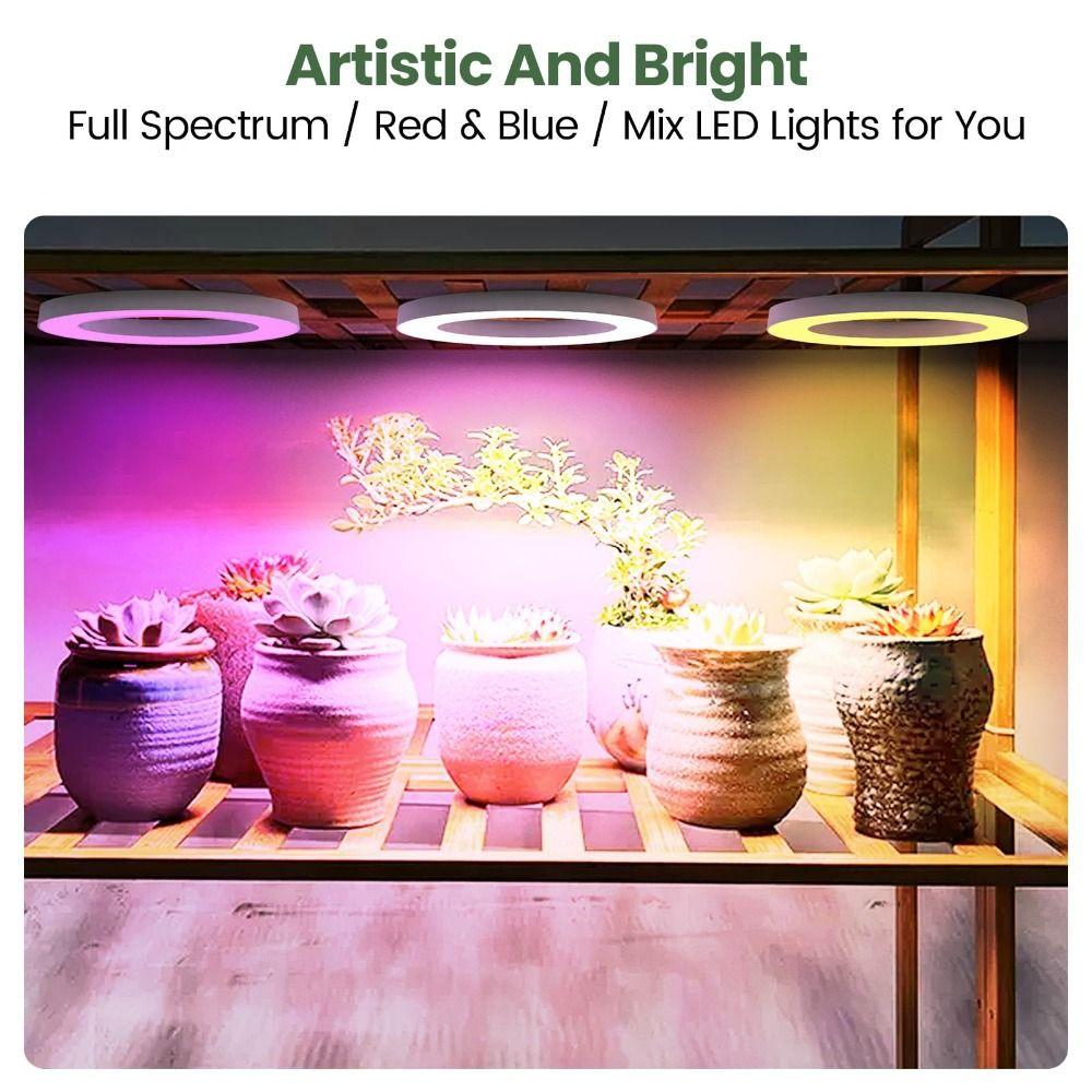 1/2/3/4 Head Hanging LED Plant Light Adjustable Ceiling Grow Light Under Cabinet Plant Lamp Home