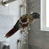 Wear-resistant Metal Bird Chain Bells Toys Bite Resistant Bird Cage Hanging Toy  Small Medium Birds