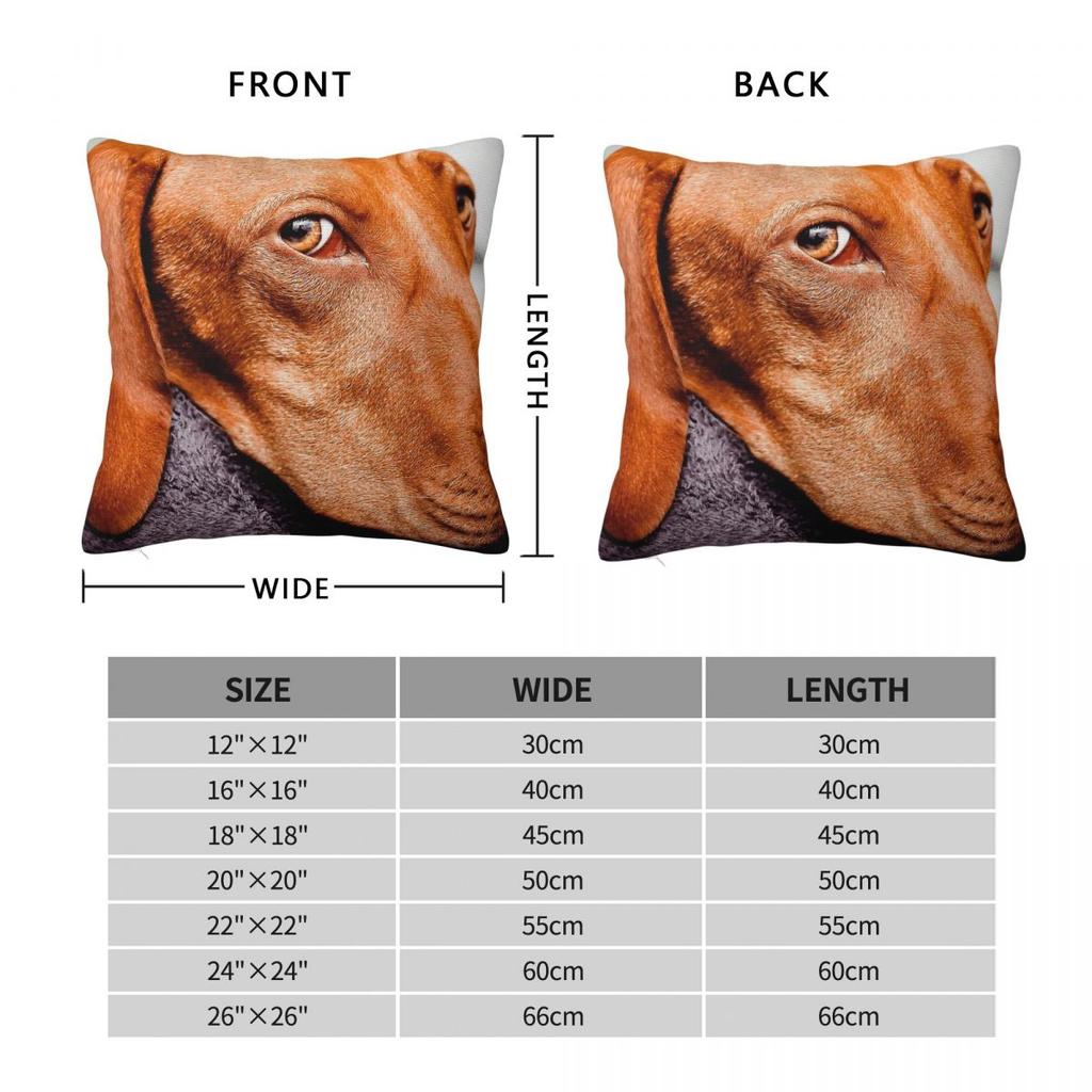 The Eyes Have It Vizsla Dog Pillowcase Polyester Linen Velvet Pattern Zip Decorative Sofa Seater Cushion Cover