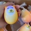1/2/5Pcs Shiba-Inu Soft Egg Toy with LED Slow Rebound Stress Anxiety Relief Portable Kids Teens Adults Light-up Dog Squeeze Squishes Sensory Fidget