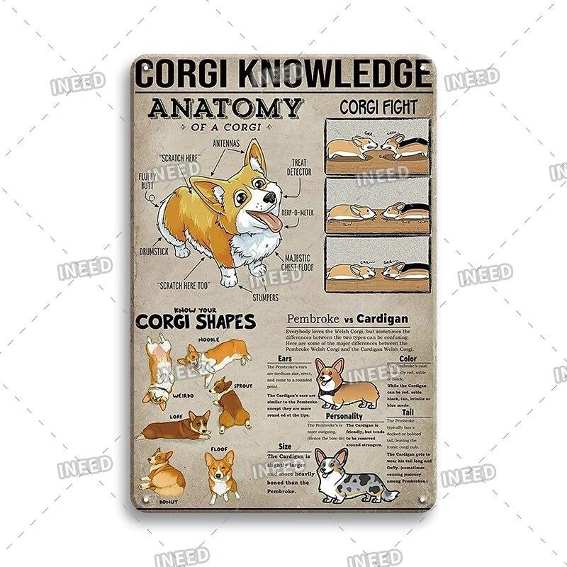 Оловянный знак Знание стоматолога Колли винтажная доска художественный плакат для стоматологического кабинета фитнес-клуба офиса ванная комната Настенный декор подарок