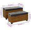 VidaXL Set of 2 Water Hyacinth Bench Set, Storage Bench, Living Room Furniture, Entryway Bedroom Bench 246108