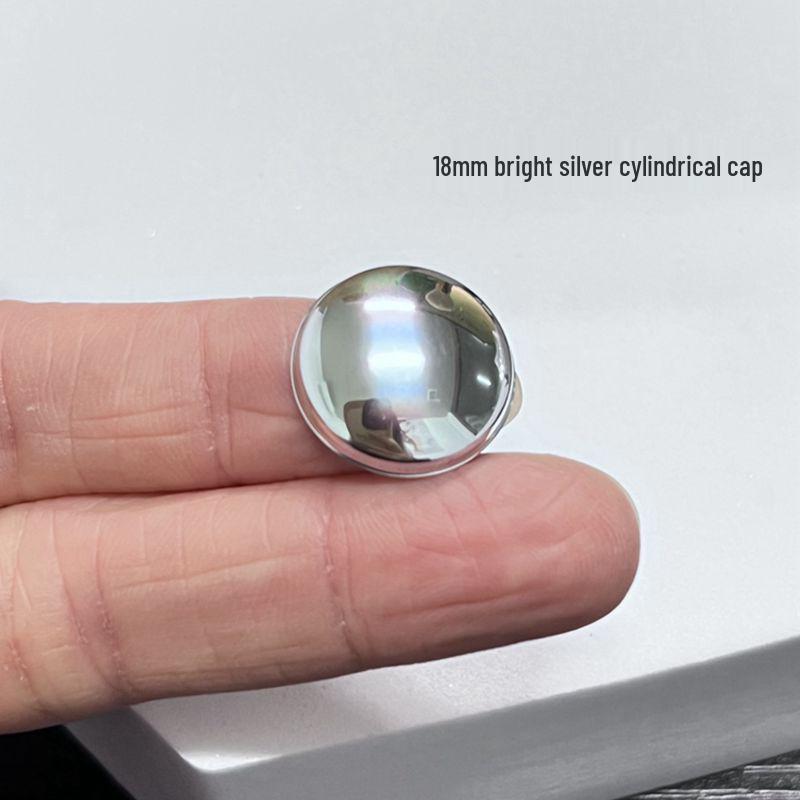 Speaker Dust Cap in Black/Silver, Electroplated/Silver/Matte Finish, 14-20mm Diameter