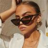 Cat Eye Fashion Sunglasses Plastic Women Vintage Small Leopard Men Sun Glasses Mirror Retro Sunglasses For Female UV400