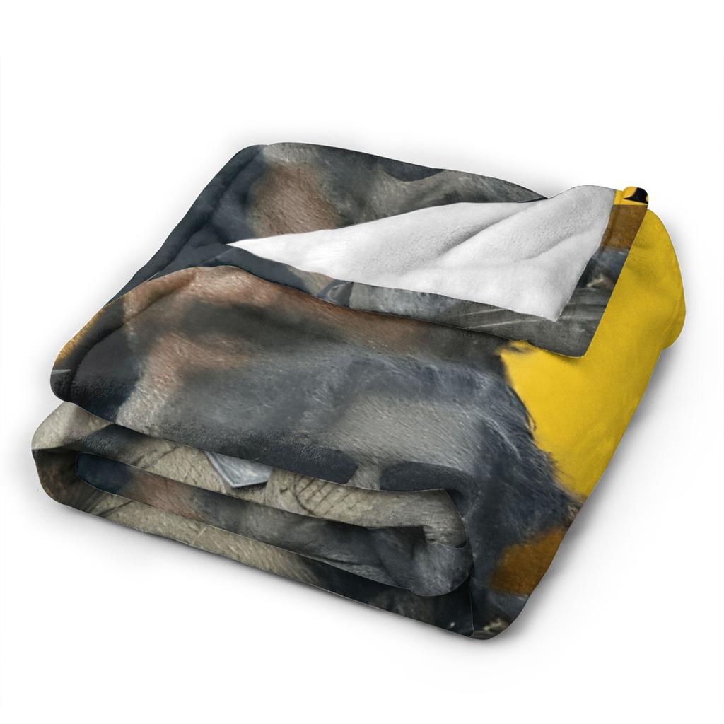 Lyonel Baratheon Throw Blanket Warm Comfy Fashion Blanket For Living Room Camping Flannel Bedspread Bed Cover