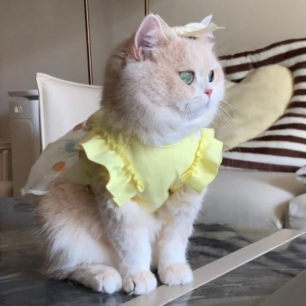 Летнее платье для собаки Сладкий корги Тедди Одежда Милая юбка для собаки Товары для животных