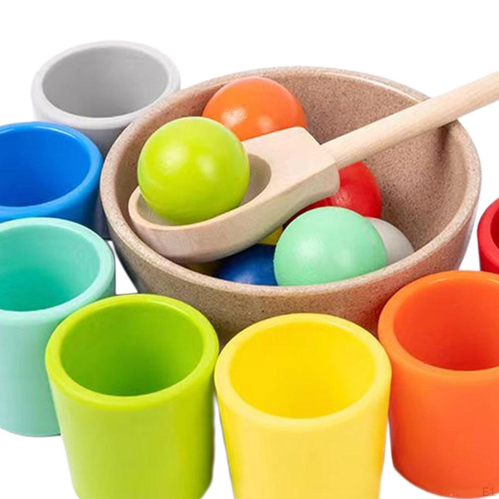 Montessori Toys Set Color Sorting Practical Party Game Counting Matching for