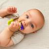 Pack of 2 Baby Fruit Teether – Soft Silicone Teething Toy with Handle for Infants and Toddlers