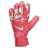 Nike Футбольные перчатки вратаря HQ0257-850