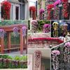 Violet Artificial Flowers Valentines Day Party Decoration Simulation Wall Hanging Flower Basket Orchid False Silk Vine Flowers