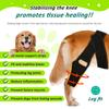 Pet Knee Brace Adjustable Comfortable Dog Leg Hip Brace Support Bar for Dog Hip Luxating Patella Post-operative Fixation New