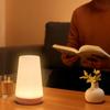 Usb Rechageable Night Light Remote Control Touch Lamp Bathroom Bedside Lamp Bedroom