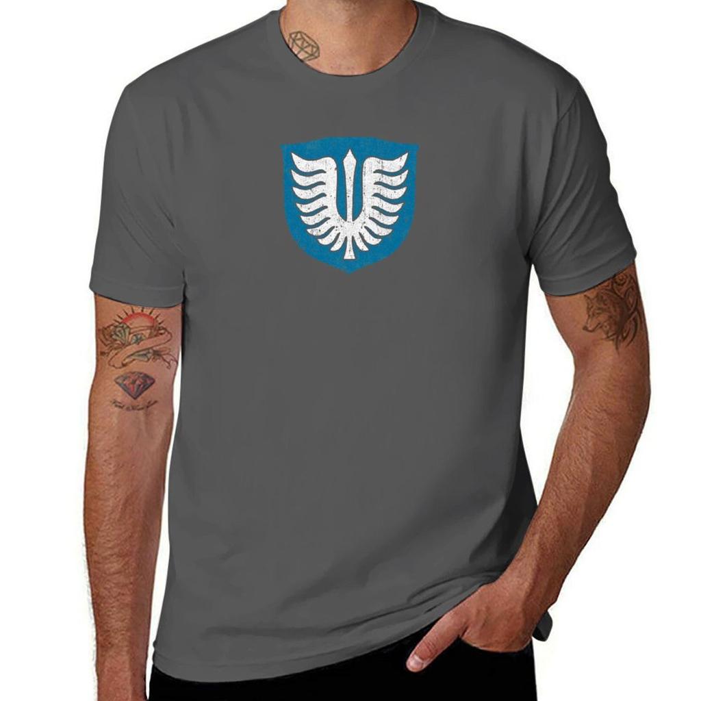 Band Of The Falcon Tshirt Casual Loose Short Sleeve Tee For Unisex