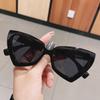 Women's Fashion Oversized Frame Sunglasses Unisex Travelling Sun Glasses Hip Hop Cat Eye Eyewear