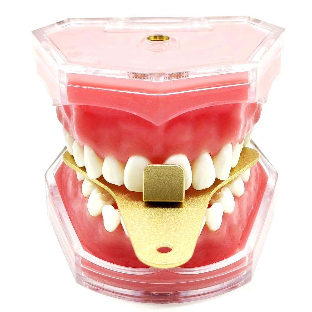 1 комплект зубных лотков, набор зубных передних зажимов, набор зажимов Lucia, набор слепочных лотков для стоматологической лаборатории для достижения центрального соотношения, алюминиевый сплав