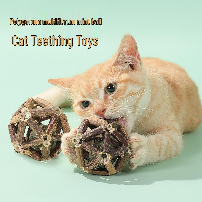 Mint Ball Catnip Chewing Stick: Interactive Kitten Toy & Stress Relief Aid