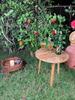 Round Wooden Side Table | Modern Scandinavian Accent Table for Living Room | Lightweight Coffee & Bedside Table, Sofa Side Table Furniture