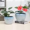 Extra Large Indoor Ceramic Flower Pot