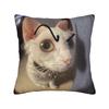Домашний Декор Мяу Кошка Сова Мем Наволочка Аксессуары Чехол на Подушку Квадратный Разные Размеры