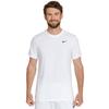 Nike Мужская футболка для фитнеса Nike Dri-FIT AR6029-100