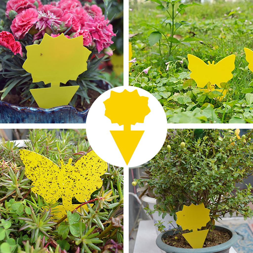 Flie Traps Sticky Board Dual-Sided Sticky Traps Flying Plant Insect Catcher