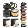 Hair Line Powder 4g Black Root Cover Up Natural Instant Waterproof Hairline Shadow Powder Hair Concealer Coverage 13color