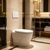 Панель бачка унитаза Панель смыва унитаза Панель скрытого бачка Нажимная панель смыва Пластина-актуатор для 01-50 UP300 UP320