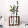 Wood Frame Test Tube Vases Transparent Glass Glass Planter Hydroponic Plants Container  Home Decor