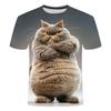 Funny Angry Cat Graphics 3D Printed Mens T-shirt Summer Fashion Short Sleeve Men Women T-shirts Casual Oversized Tees