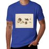 Snail Circle T-Shirt anime summer tops oversized sweat black t shirts for men