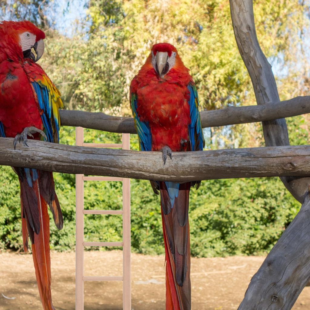 4 шт. Попугай Лестница Игрушка Птица Деревянные Игрушки Лестницы для Птиц Лестницы Подвесные