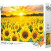 Toy & Puzzle Sunset In a Yellow Sunflower Field Jigsaw Puzzle TP10-1015, 1000 Pieces, Mixed Colors Jigsaw Puzzle, Childrens Games, Educational Toys