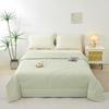 Paul Frank Class A Washable Quilt