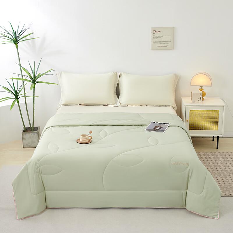 Paul Frank Class A Washable Quilt