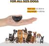 Dog Training Collar No Shock Harmless Safe Sound Vibration Pet Anti Barking Device USB Rechargeable for All Size Dogs