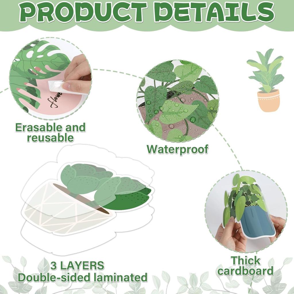 Набор для классной доски с растениями Декор для классной комнаты с растениями Зелень Мотивационные украшения для доски объявлений То, что вы можете вырастить Позитивные вырезки с эвкалиптом для