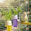 Water-Storage Parrot Hydroponic Plant Preserver Hanging Vegetable Water Feeder  Budgie Cage