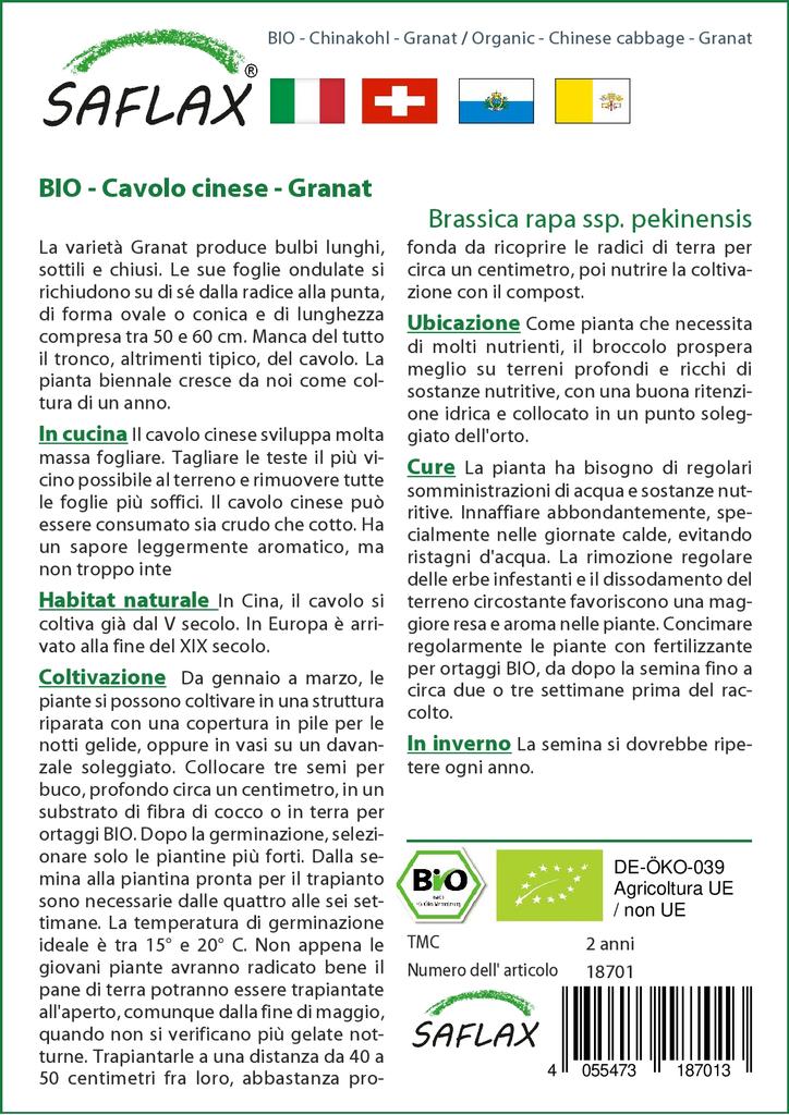 SAFLAX Organic - Пекинская капуста - Гранат - 40 семян - Brassica rapa