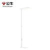 BULL Full-Spectrum Eye-Care LED Floor Lamp